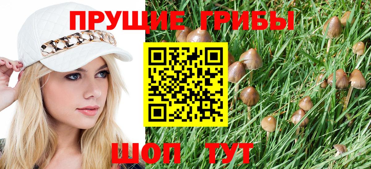 Псилоцибиновые грибы Cubensis  Новочебоксарск 