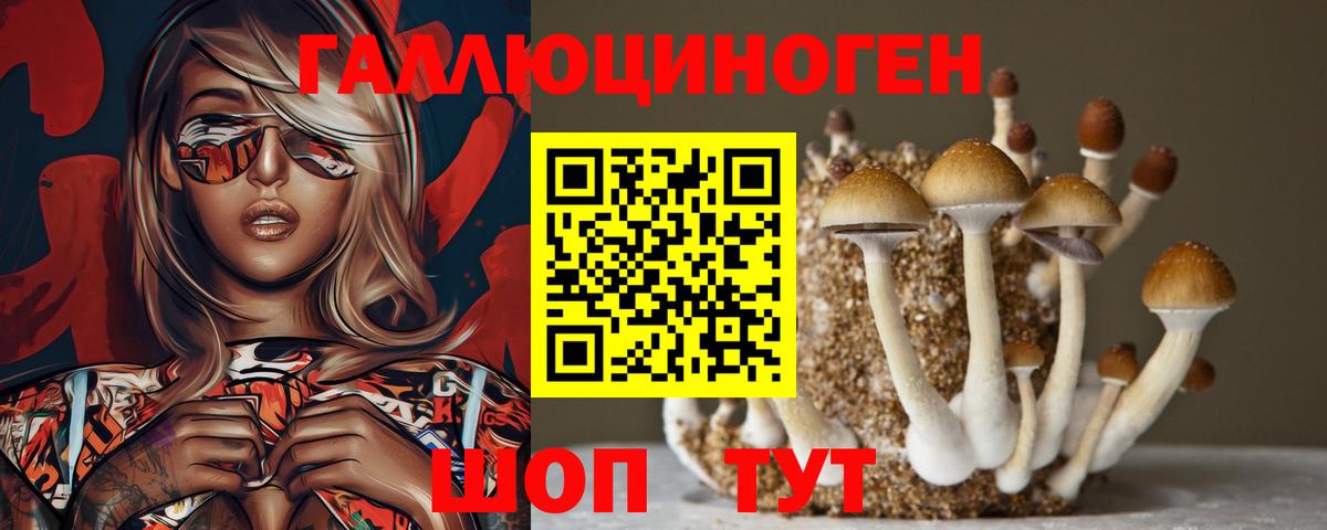 Галлюциногенные грибы MAGIC MUSHROOMS  продажа наркотиков  Новочебоксарск  Вход с VPN 