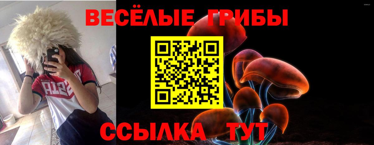 Псилоцибиновые грибы мухоморы Новочебоксарск
